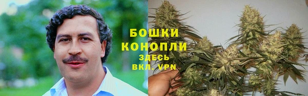 СК Балахна