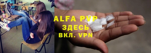 СК Балахна
